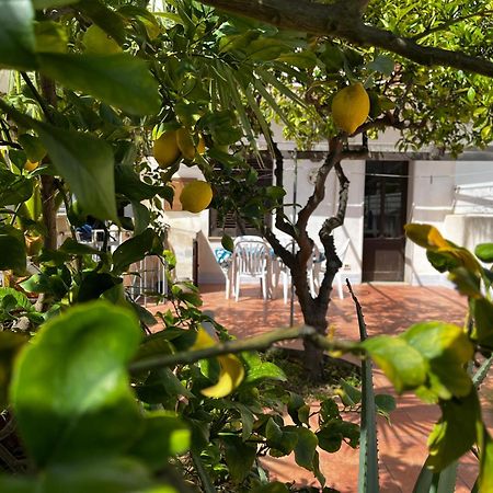 Casa Ciccio Appartement San Vito Lo Capo Buitenkant foto