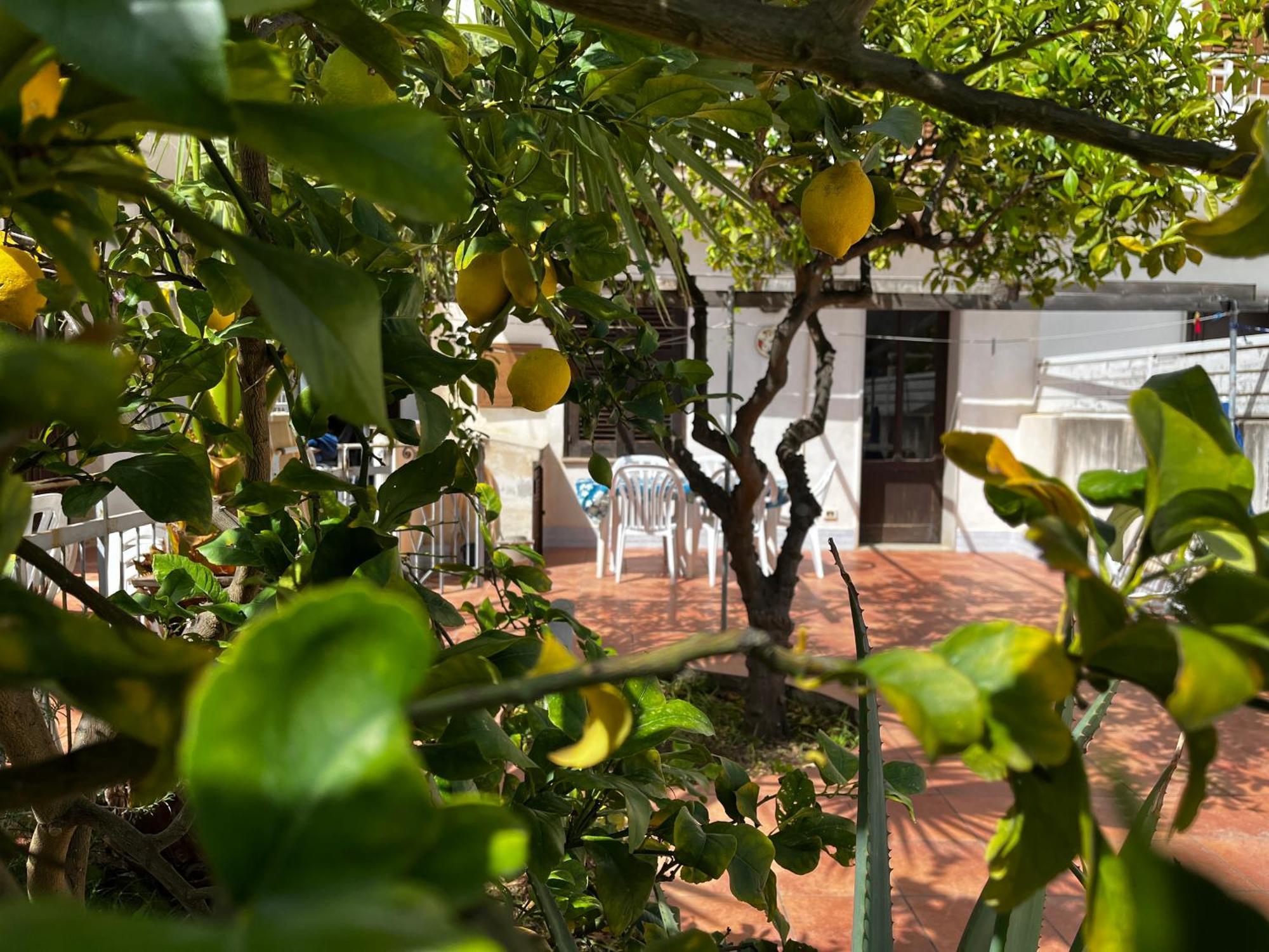 Casa Ciccio Appartement San Vito Lo Capo Buitenkant foto